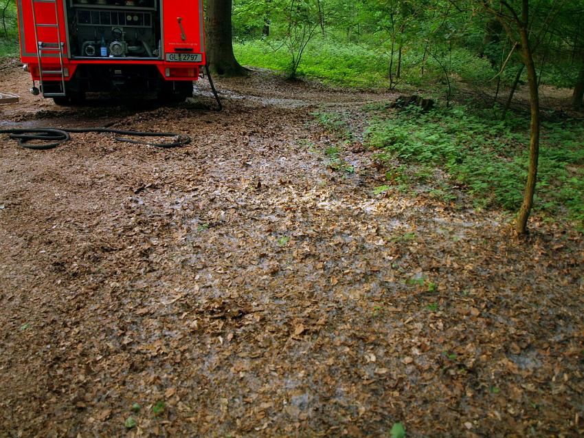 Waldbrand Bergisch Gladbach Bensberg P115.JPG